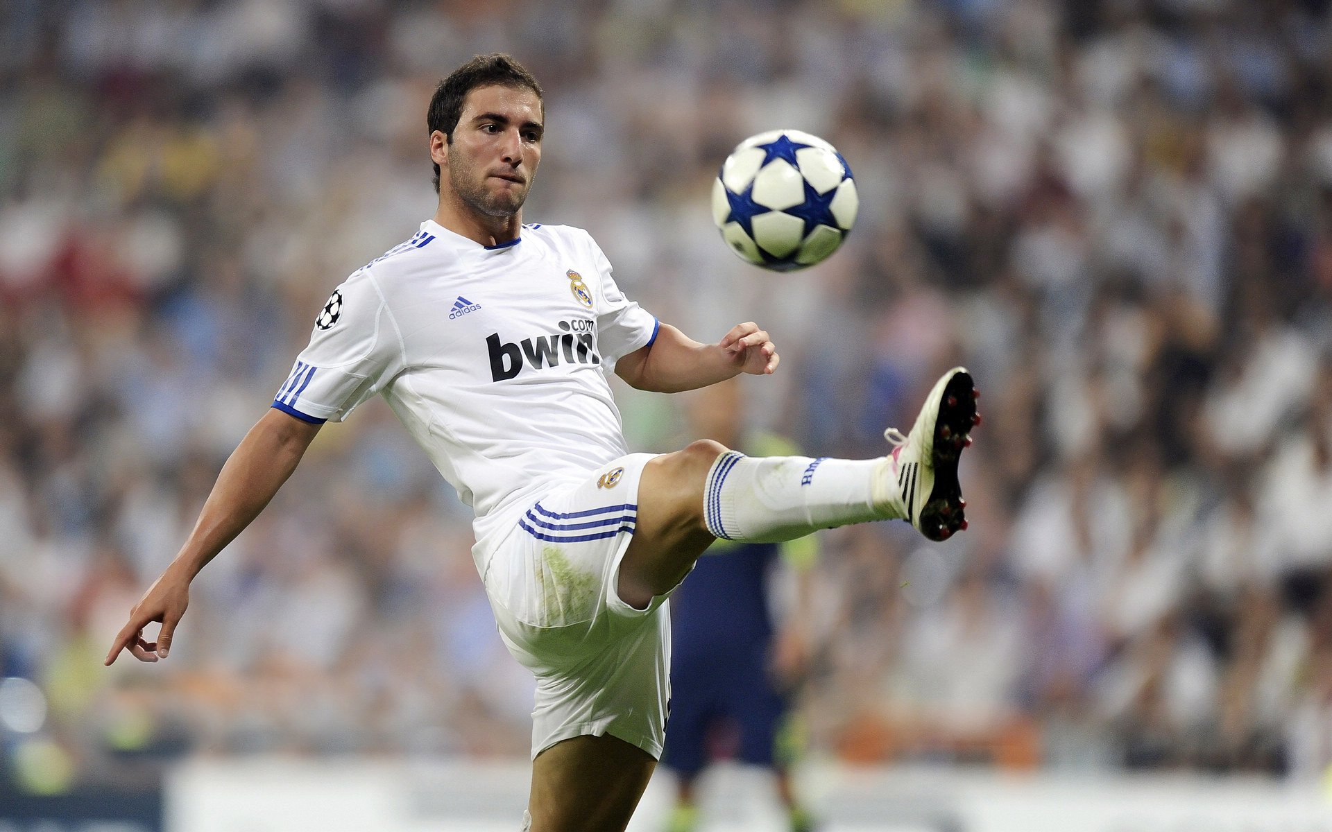 “球场背后:明星场外趣味爱好揭秘”,明星喜欢的球队